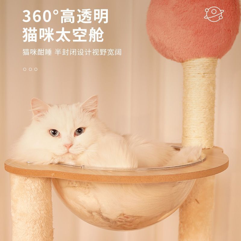 Khung leo mèo, cây mèo, gỗ đặc, cột trời, viên nang nhảy không gian