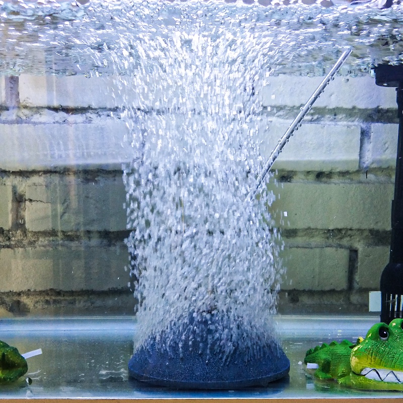 Dụng Cụ Bơm Oxy Loại Bánh Mì Tinh Tế Có Thể Tái Sử Dụng