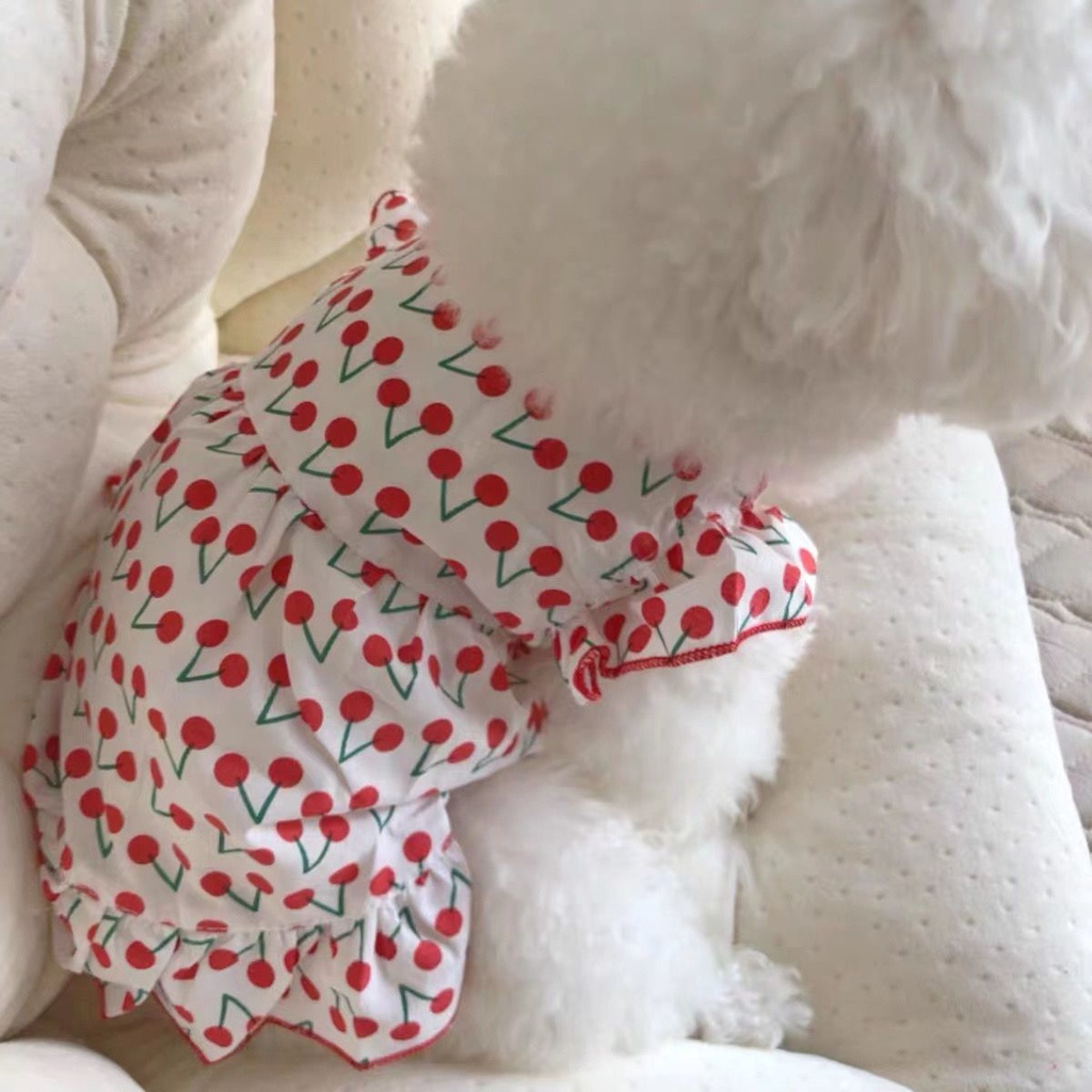 Áo Mặc Dưới Mùa Hè Thoáng Khí Chống Rơi Dành Cho Cún Cưng Teddy Bichon Frise