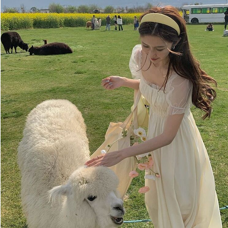 Đầm Tay Ngắn Phối Lưới Thời Trang Mùa Hè Xinh Xắn Cho Nữ