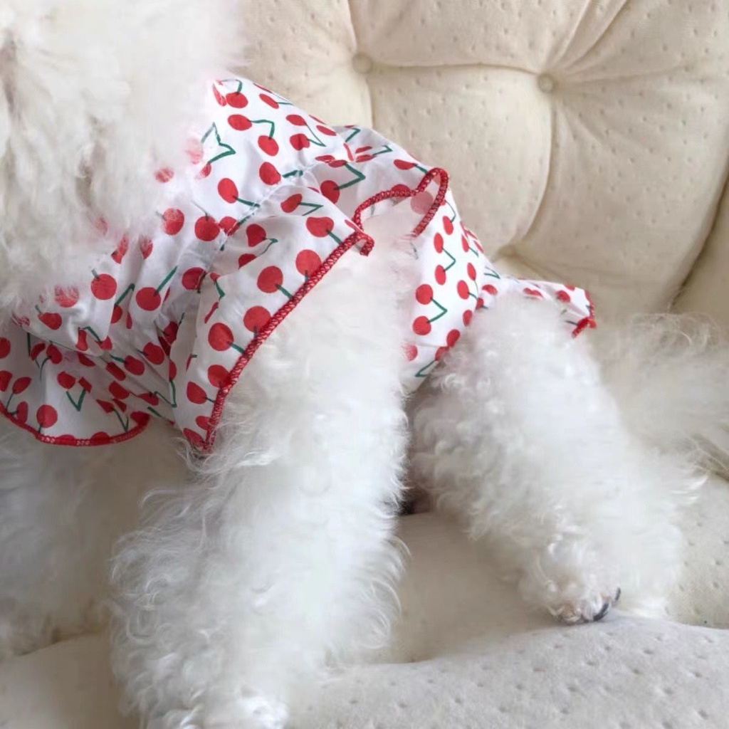 Áo Mặc Dưới Mùa Hè Thoáng Khí Chống Rơi Dành Cho Cún Cưng Teddy Bichon Frise