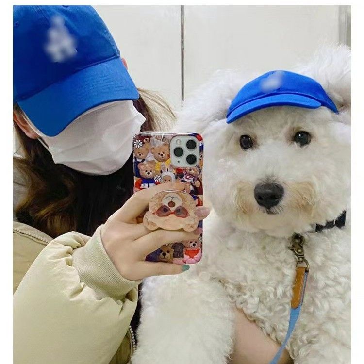 Mũ Lưỡi Trai Hình Tai Gấu Teddy Cho Thú Cưng