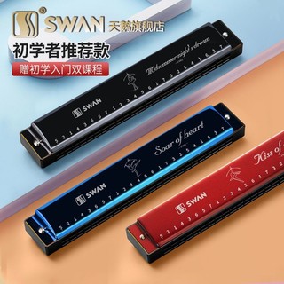 Kèn harmonica s3 24 lỗ chuyên nghiệp cho người lớn và trẻ em