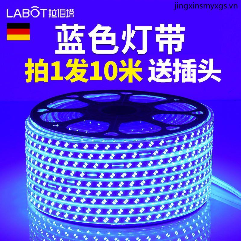 Dải Đèn Led 220V Ánh Sáng Xanh Dương Siêu Sáng Gắn Trần Nhà Trang Trí Đa Ứng Dụng