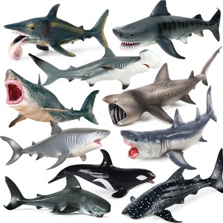 Mô phỏng động vật cá mập đồ chơi sinh vật biển mô hình cá mập trắng lớn megalodon cá voi xanh sát thủ cá mập đồ trang trí nhận thức cho trẻ em- as0813