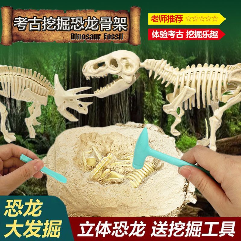 Hàng Mới Về Đồ Chơi Hóa Thạch Khủng Long ~ Bộ Xương Khủng Long diy Kỷ Niệm Cho Trẻ Em