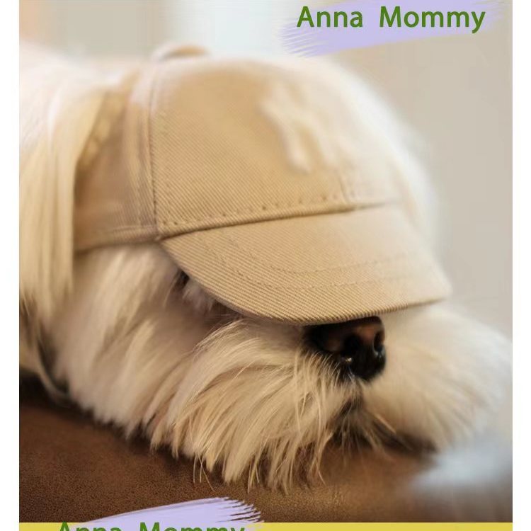 Mũ Lưỡi Trai Hình Tai Gấu Teddy Cho Thú Cưng