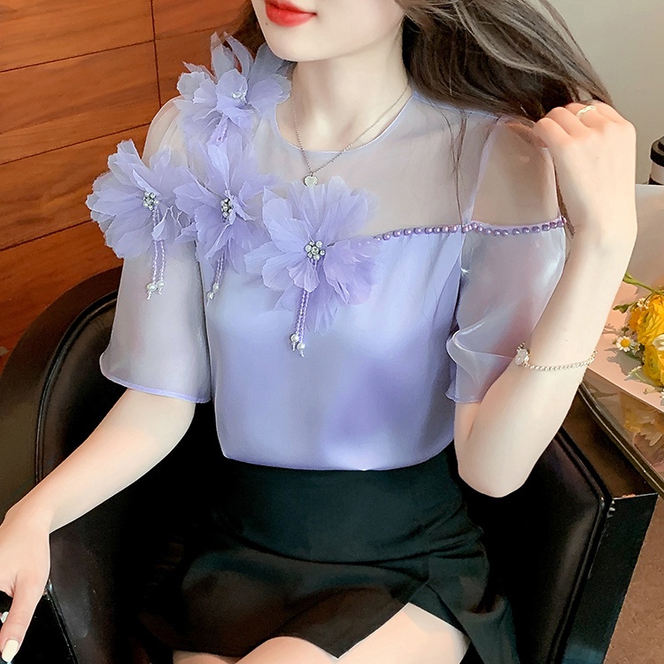 Áo Thun Tay Ngắn Phối Lưới Mỏng Thời Trang Mùa Hè Cho Nữ