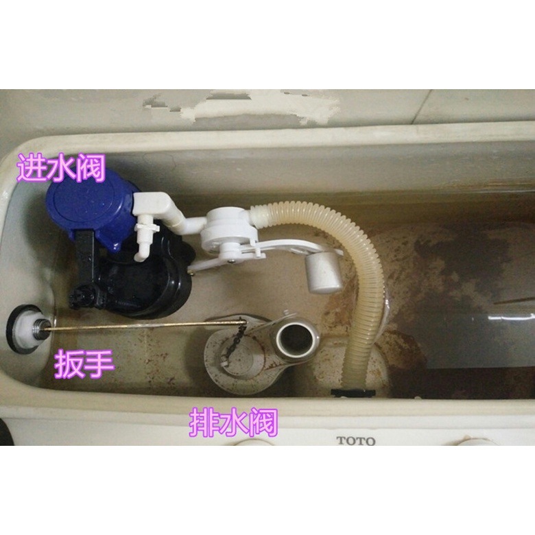 Vận chuyển 24 giờ|Toto CW436SB CW436RB CW406 Phụ kiện bồn cầu Hydrat lớn Van đầu vào nước Van thoát 