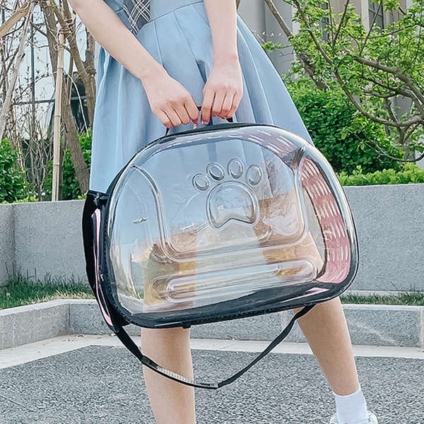 Túi Đựng Thú Cưng Hình Viên Thuốc Không Gian Tiện Dụng