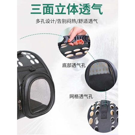 Túi Đựng Thú Cưng Hình Viên Thuốc Không Gian Tiện Dụng