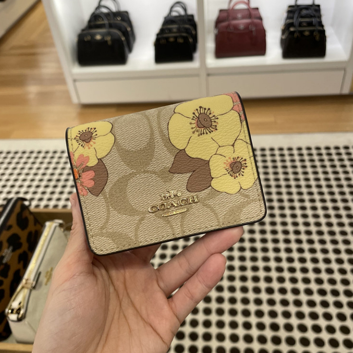 Coach Ví Đựng Thẻ Có Dây Xích c8677