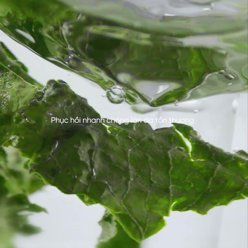 [Beplain Chính Hãng] Tinh Chất Serum Rau Má PDRN – Phục Hồi, Cấp Ẩm, Căng bóng, Tái Sinh Làn da & Giúp da săn chắc 30ml | BigBuy360 - bigbuy360.vn