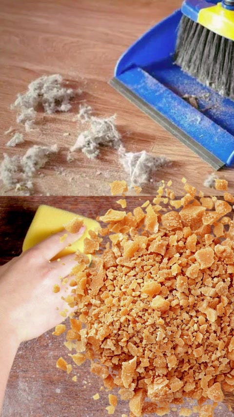 Máy hút bụi cầm tay có dây đa năng 6 tầng lọc bụi JETZT X7, lực hút 19000PA, trọng lượng siêu nhẹ | BigBuy360 - bigbuy360.vn