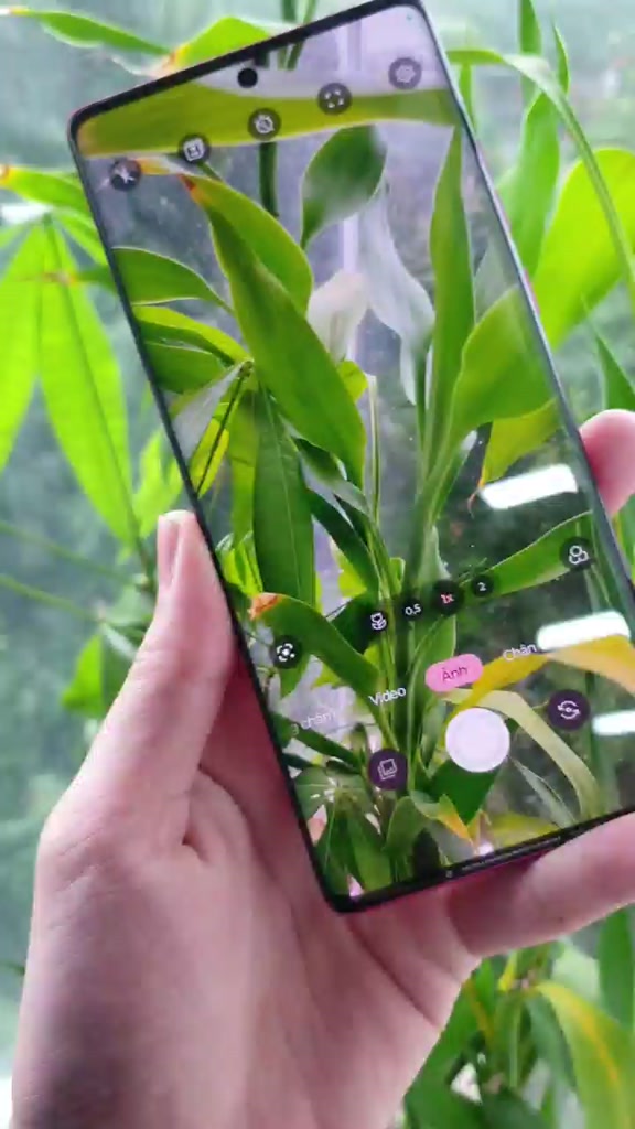 Điện thoại Motorola Edge 50 Fusion 5G  256GB-512GB Zin đẹp tuyển -Màn không ám , Tặng Sạc Nhanh | BigBuy360 - bigbuy360.vn