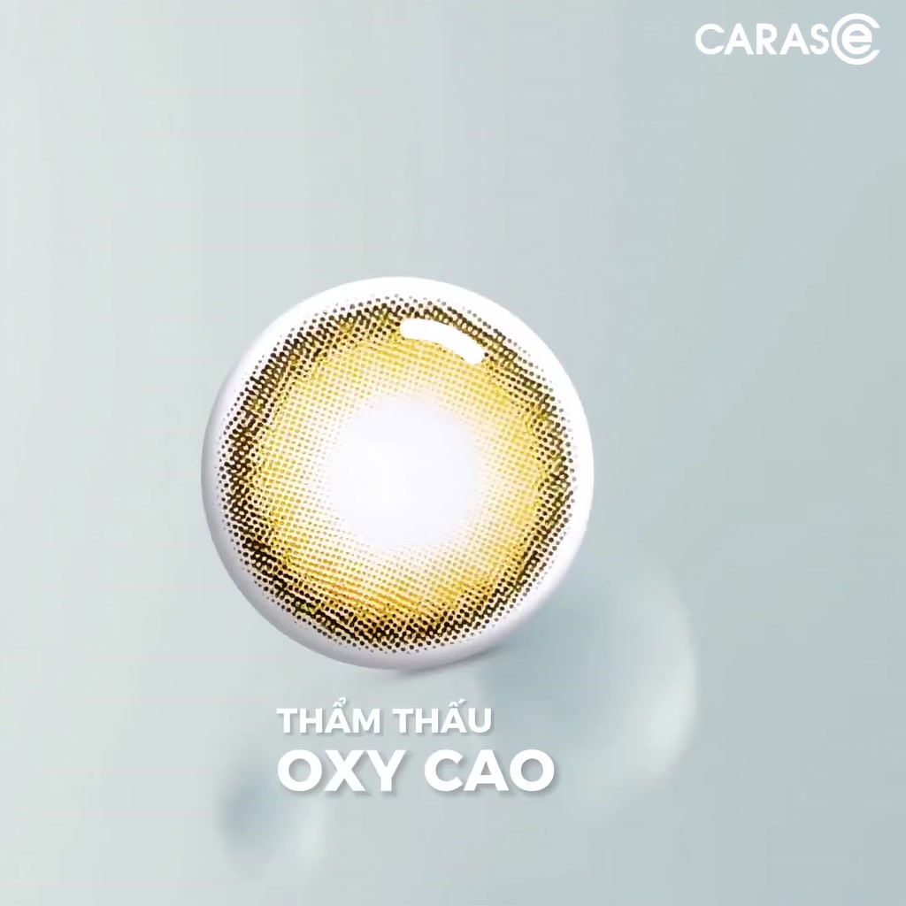 Kính Áp Tròng CARASE 1 Ngày - Lens cận Nâu - OVIA BROWN [1 chiếc] | BigBuy360 - bigbuy360.vn