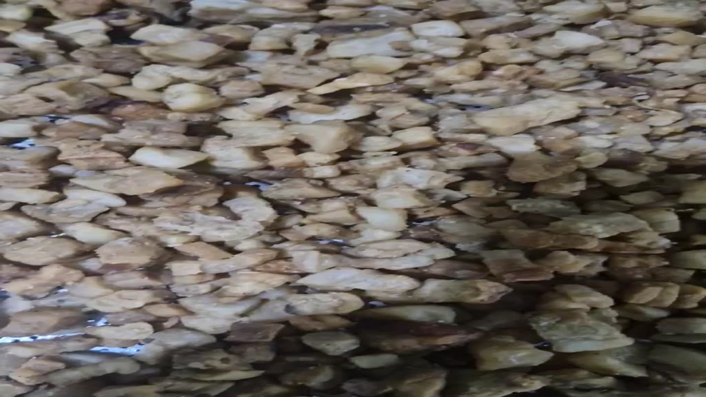 1kg Tóp mỡ nguyên chất không tẩm vị loại ngon | BigBuy360 - bigbuy360.vn