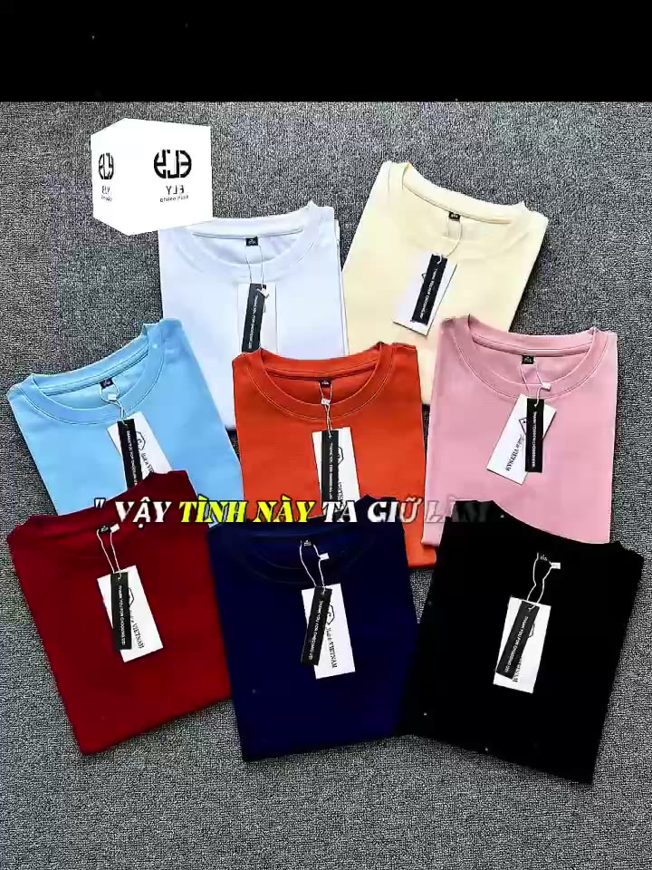 Áo phông nữ cổ tròn tay ngắn ôm body kiểu basic vải thun cotton borip cao cấp co giãn 4c không bai nhão trắng đen ELY207 | BigBuy360 - bigbuy360.vn