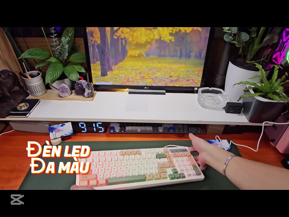 Bàn phím gaming keycap phối màu - Bàn phím giả cơ có led bền bỉ giá rẻ đẹp nhiều màu VTTG GCK8 | BigBuy360 - bigbuy360.vn