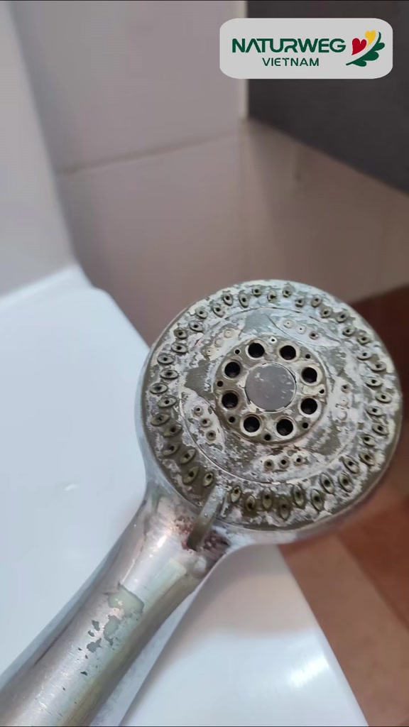 Xịt Tẩy Cặn Canxi Poliboy Nội Địa Đức - Hữu Cơ, Vệ Sinh Nhà Tắm, Sạch Vách Kính, Vòi Inox 500ml | BigBuy360 - bigbuy360.vn