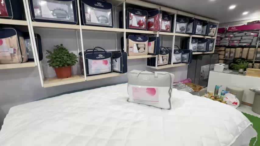 Ruột Chăn Bông Sông Hồng Kháng Khuẩn Siêu Nhẹ, Siêu Mềm cao cấp | BigBuy360 - bigbuy360.vn