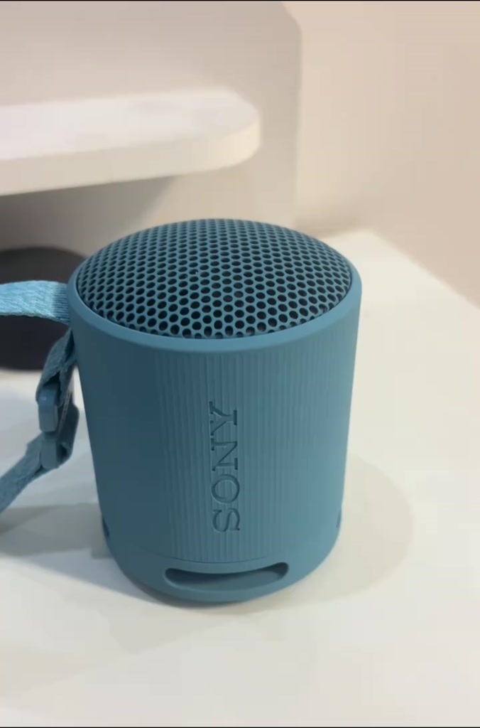 Loa Bluetooth SRS-XB100 Extra Bass Siêu Bền Chống Nước | BigBuy360 - bigbuy360.vn