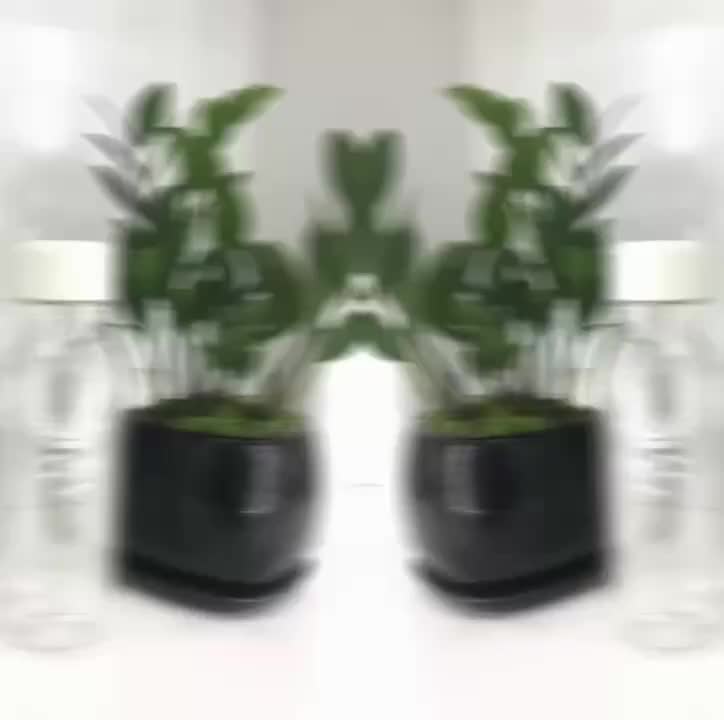 Bình Đựng Nước Hoa Quả Detox LocknLock Milky 500ml HAP654, Hàng chính hãng, không chứa BPA - JoyMall | BigBuy360 - bigbuy360.vn