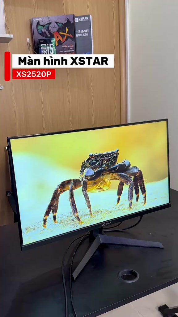 Màn Hình Xstar 25inch 200Hz 1ms IPS Chính Hãng, Màn Hình Gamming Bảo Hành 24 Tháng | BigBuy360 - bigbuy360.vn