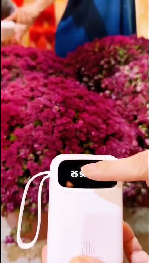 Pin Dự Phòng Mini 20000mAh - Sạc Nhanh, Nhỏ Gọn Tiện Lợi Cho Điện Thoại | BigBuy360 - bigbuy360.vn