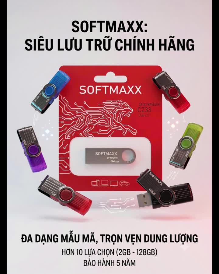 Usb Bảo hành 5 năm 128g 64gb 32gb 16gb 8gb 4gb 2gb nhỏ gọn Dtse9 Dt101 Cz33 U202 Navio - Softmaxx | BigBuy360 - bigbuy360.vn