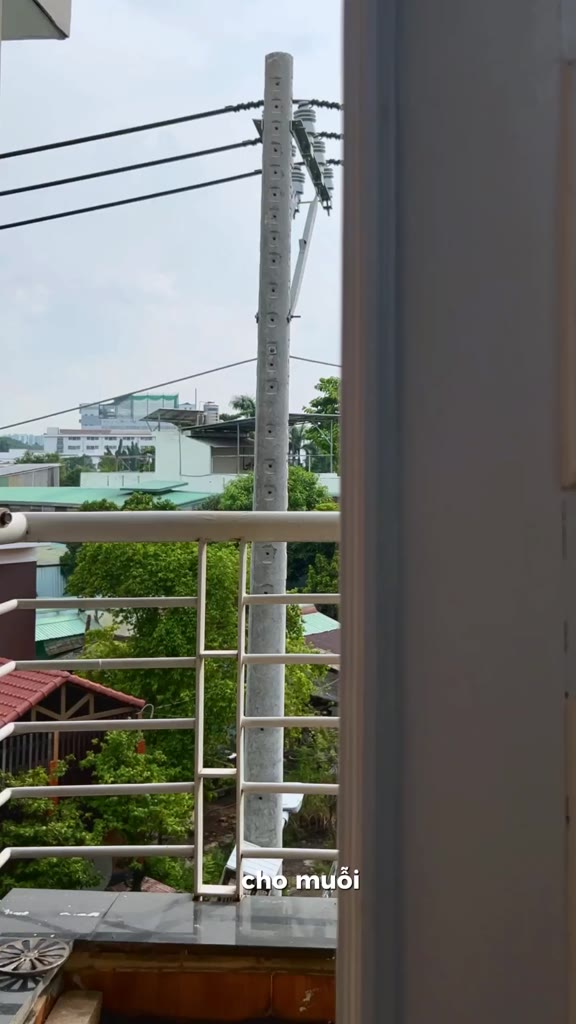 Xịt phòng tinh dầu Sả Chanh, Bạc Hà, Quế VEMODA giúp thơm phòng, xua đuổi muỗi côn trùng, khử mùi | BigBuy360 - bigbuy360.vn