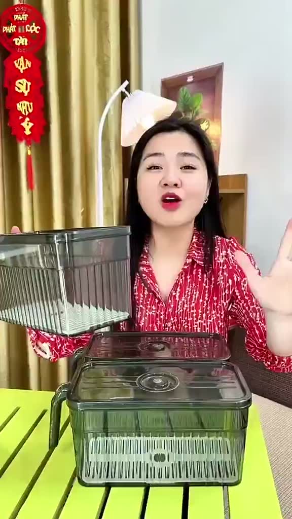 Hộp Đựng Đồ Ăn Tủ Lạnh Có Quai Cầm, Khay Lót Ráo Nước, Bảo Quản Rau Củ Trái Cây Gọn Gàng | BigBuy360 - bigbuy360.vn
