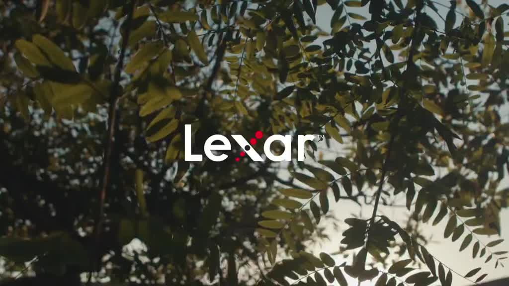 Thẻ nhớ 512GB/ 1TB Lexar PLAY microSDXC, tốc độ 150Mb/s, tương thích máy chơi game Nintendo-Switch | BigBuy360 - bigbuy360.vn