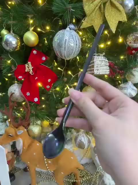 Combo 10 muỗng Nhựa Đen FACO Dài 20cm