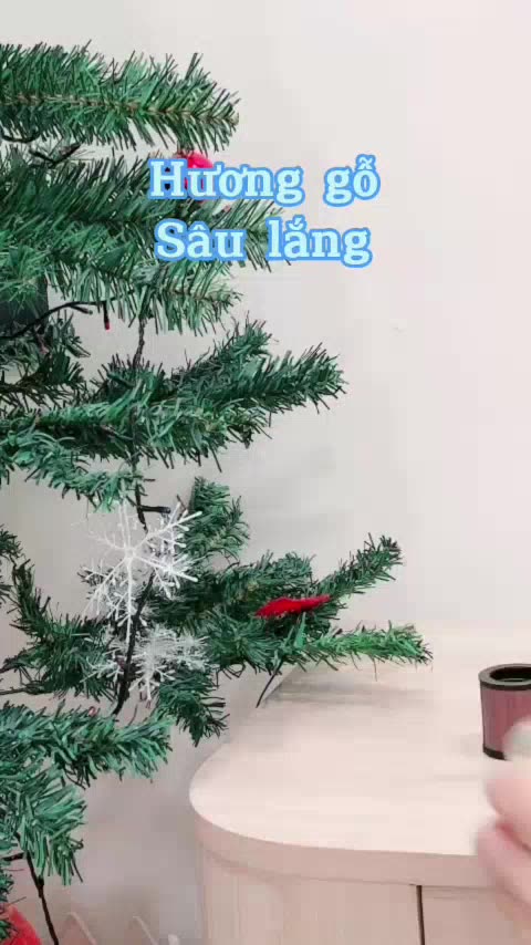 Nước Hoa Ô Tô - Nước Hoa Khử Mùi Xe Hơi Cao Cấp