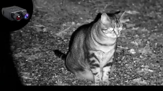 Ống Nhòm Hồng Ngoại Quan Sát Ban Đêm CORISU R6 850nm Full HD 1080p Zoom Xa 5x, Hỗ Trợ Tầm Nhìn Ban Đêm | BigBuy360 - bigbuy360.vn