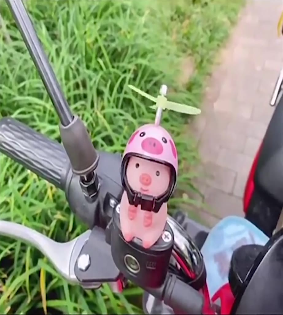 Heo Phát Sáng Trang Trí