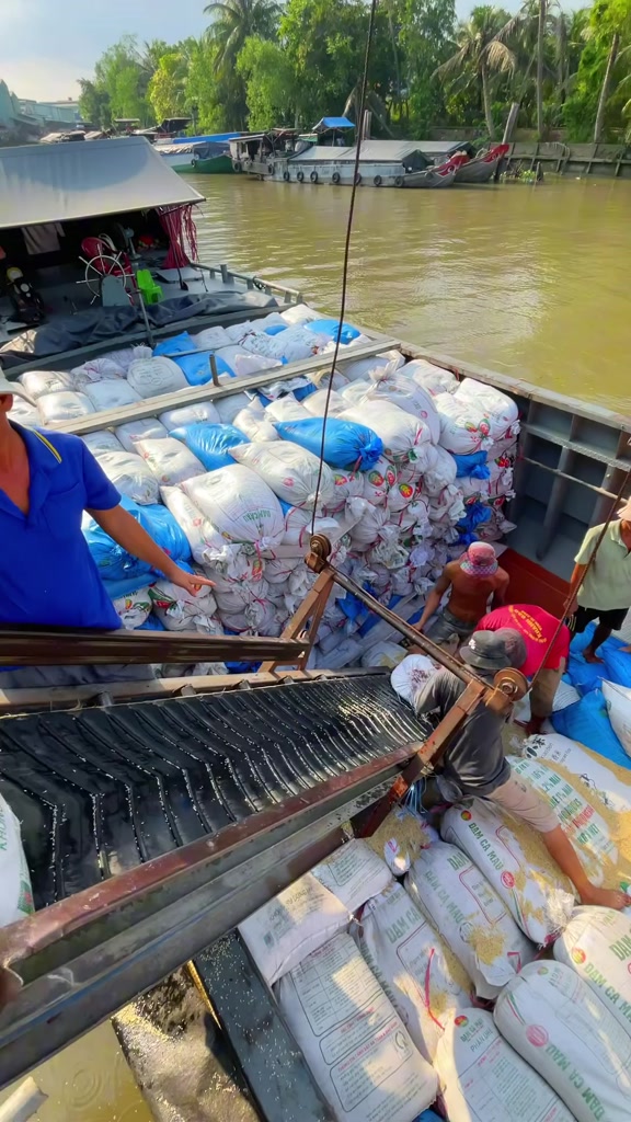 5kg Lài Miên CPC Nội Địa Gạo Dẻo Mền Dai Cơm Trắng cơm | BigBuy360 - bigbuy360.vn