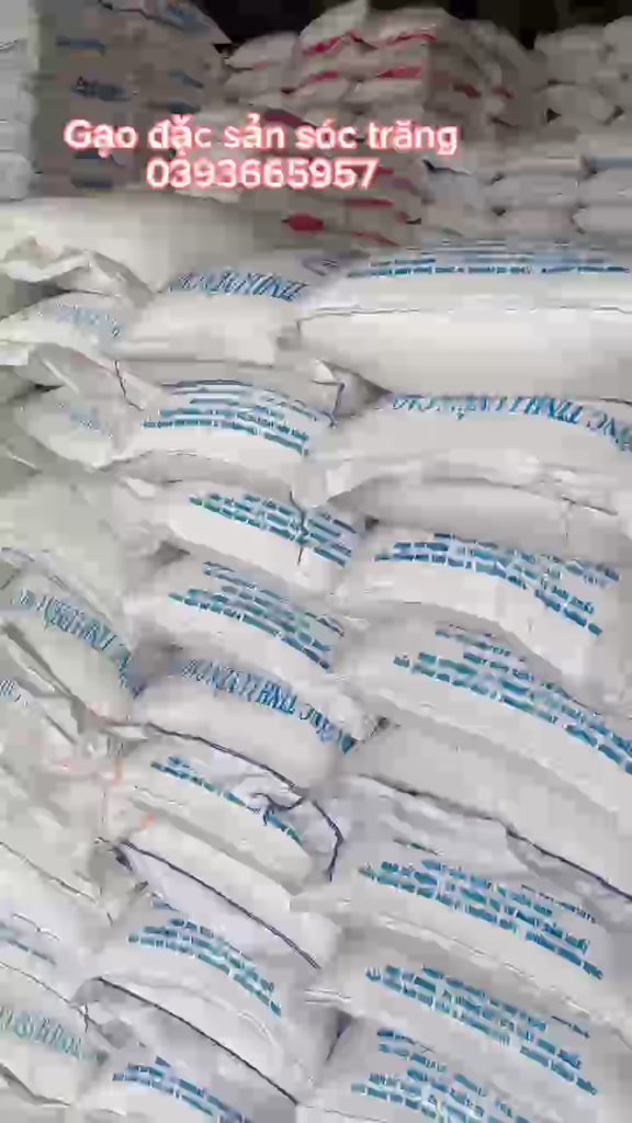 Gạo Thái Nhập Hoa Ly bao 10kg Cơm Trắng Dẻo Cơm Mềm | BigBuy360 - bigbuy360.vn