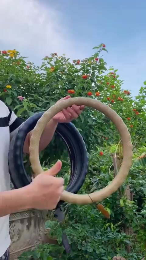 Bọc Vô Lăng Ô Tô Cao Cấp Da Thật 100% cao cấp size 38cm cho xe ford toyota hyundai kia bmw mec honda suzuki mitsubisi | BigBuy360 - bigbuy360.vn