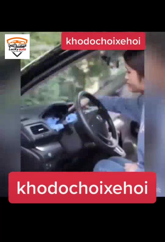 Chổi Lau Xe Ô Tô Đa Năng – Chổi Nhỏ
