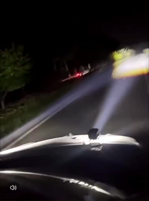 Bi gầm 2.5 inch Pha trắng cos vàng