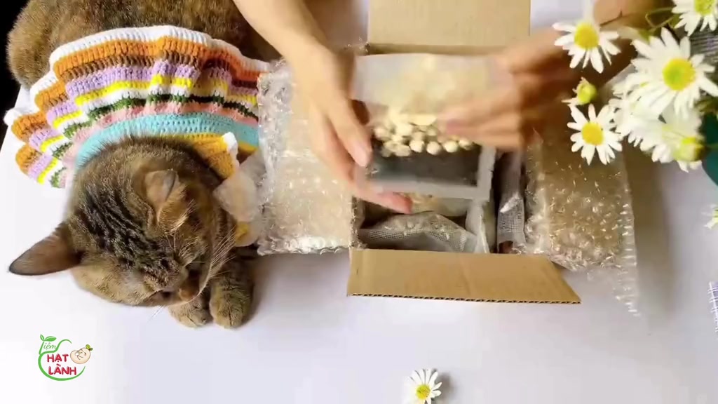 Combo 10 ngày set hạt mix sẵn gói 50g hạt dinh dưỡng, tặng kèm muối hồng - Tiệm hạt lành