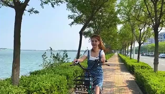 Xe đạp trợ lực điện mini AKEZ 36V10AH | BigBuy360 - bigbuy360.vn