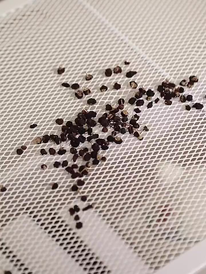 Bali Kệ Sách Đa Năng Kệ Đa Năng Hình Thang 3/4/5 Tầng Khung Sắt Chịu Lực Phong Cách Hiện Đại | BigBuy360 - bigbuy360.vn