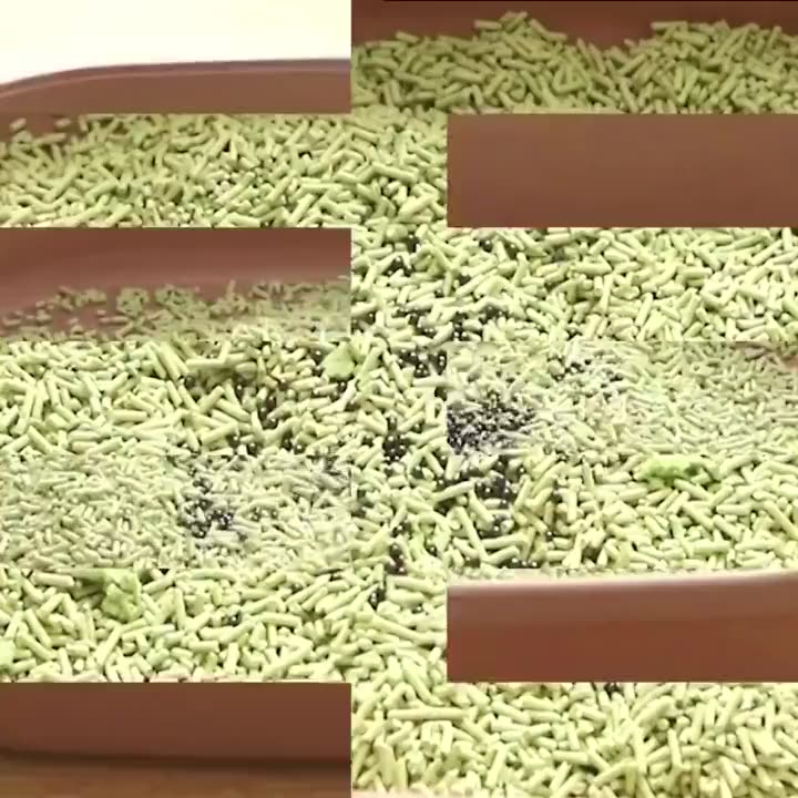 Top 7 cát mèo 30kg khử mùi ô tô tốt nhất cho gia đình bạn