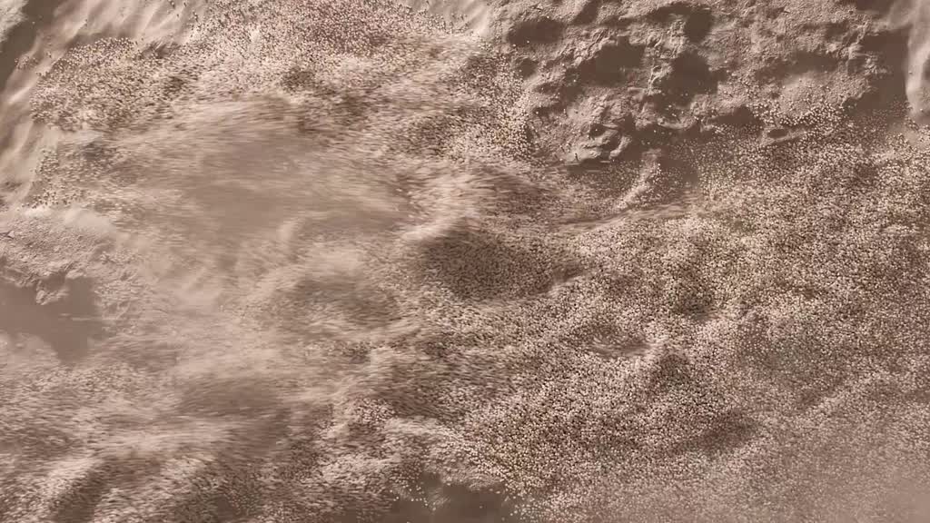 Tai Nghe Bluetooth Chụp Tai EDIFIER W830NB | Chống Ồn Chủ Động | Thời Gian Sử Dụng Tới 96H | Bảo Hành 15 Tháng | BigBuy360 - bigbuy360.vn