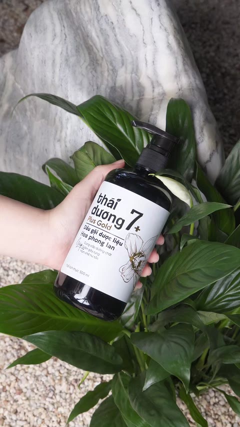 Dầu gội Thái Dương 7 Plus GOLD (Hoa Phong Lan) 500ml/250ml  - Dầu gội dược liệu dành cho tóc rụng , khô xơ, hư tổn-STD | BigBuy360 - bigbuy360.vn