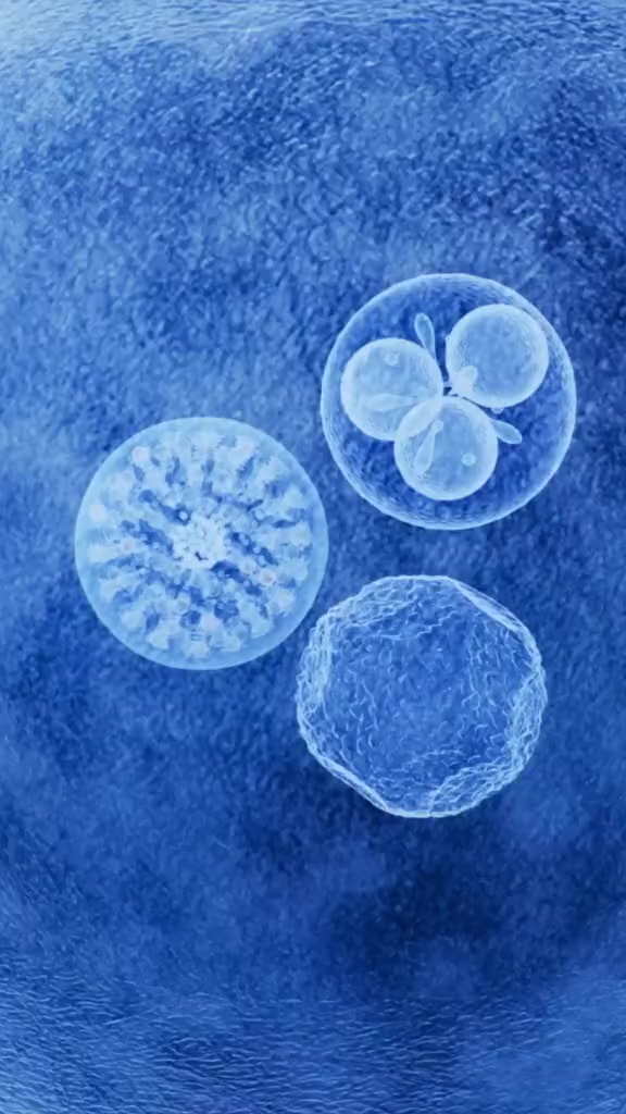 Kem Dưỡng Ẩm & Phục Hồi Đa Năng La Roche-Posay Cicaplast Baume B5+ giúp phục hồi da sau 1 lần sử dụng - phiên bản 100ml | BigBuy360 - bigbuy360.vn