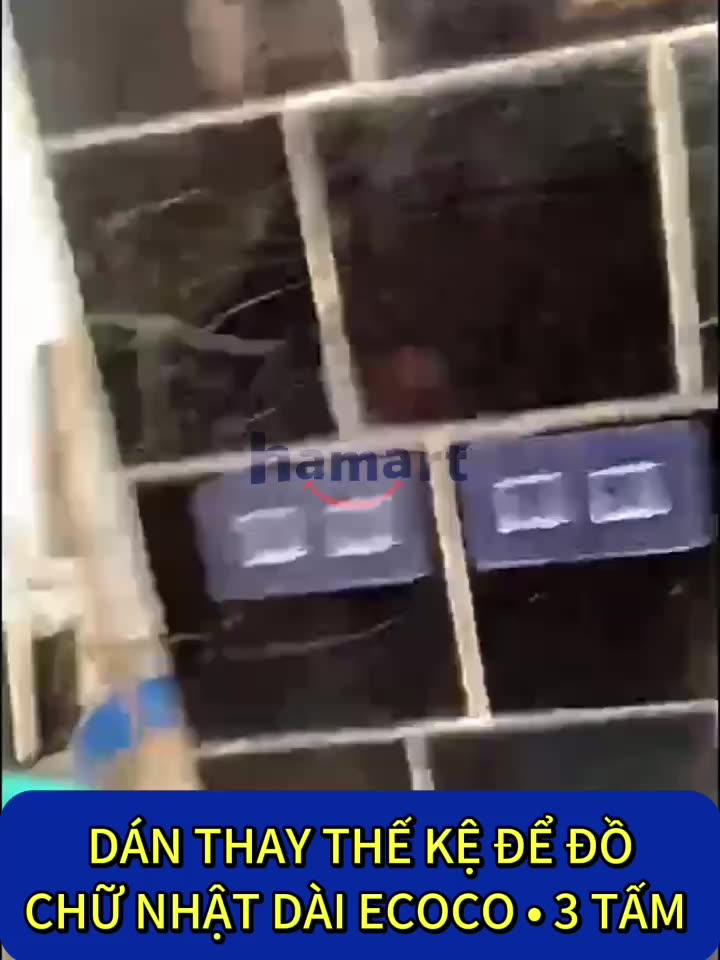 Dán Thay Thế Kệ Để Dao Kéo Nhà Bếp Ecoco Bộ Nhả Kem 3 4 Cốc Để Đồ Tắm Giá Treo Chậu Thau Treo Tường | BigBuy360 - bigbuy360.vn